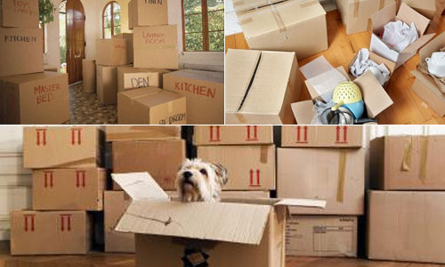 Hire Best Packers and Movers in India